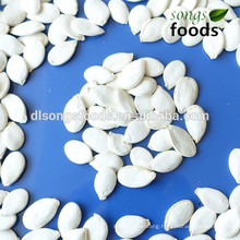 Chinese pumpkin vegetable seeds